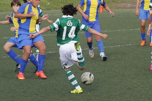 九游官网pc-中国足球国家队备战友谊赛调整战术策略，国足 友谊赛